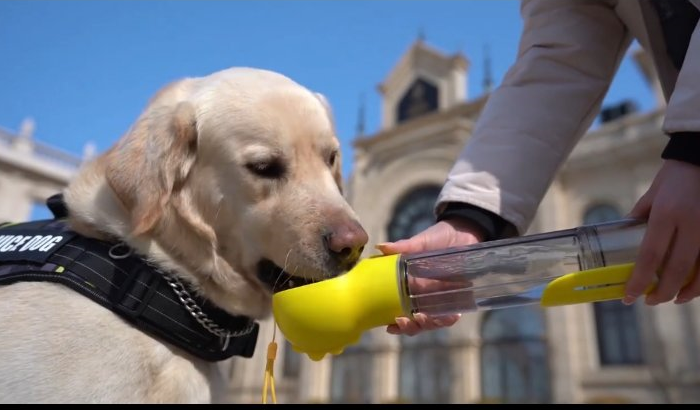 Multifunctional 4 in 1 Water Bottle